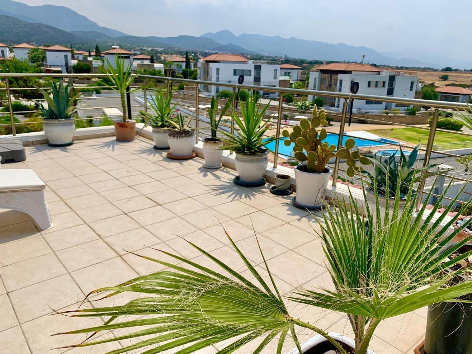 Boho Bay Apartment Akanthou ภายนอก รูปภาพ