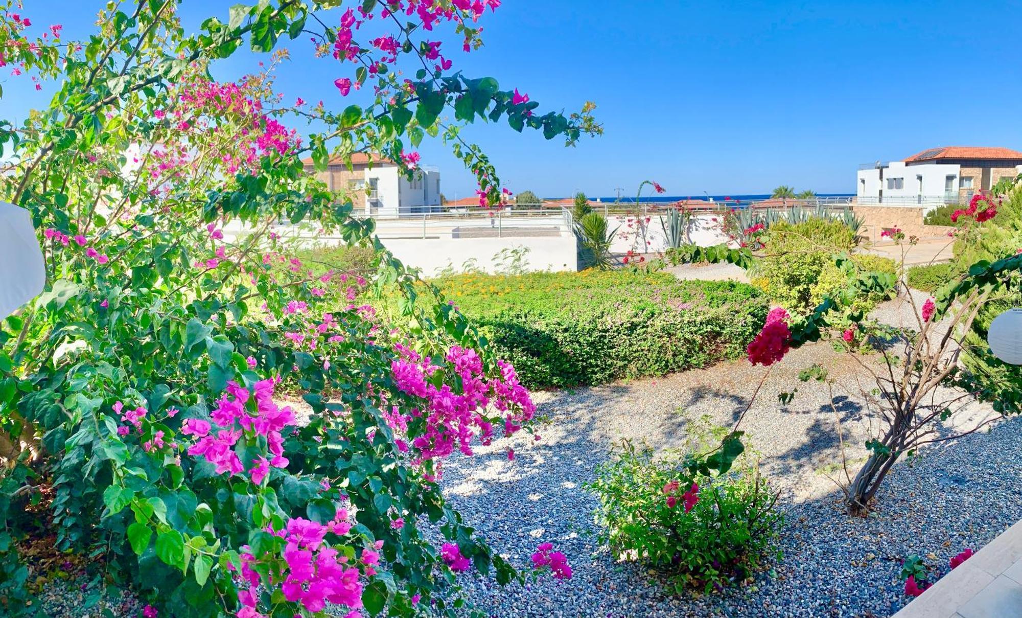 Boho Bay Apartment Akanthou ภายนอก รูปภาพ