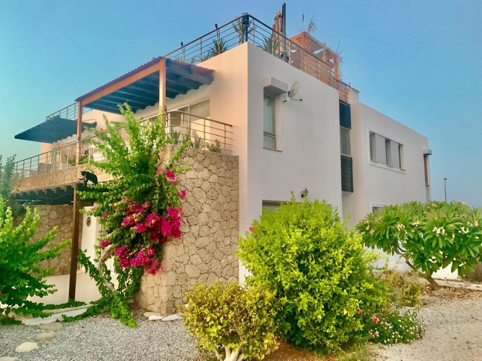 Boho Bay Apartment Akanthou ภายนอก รูปภาพ